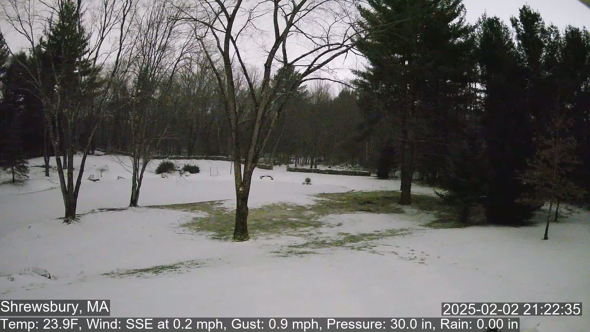 A snow-covered yard with leafless trees and a dark, overcast sky.