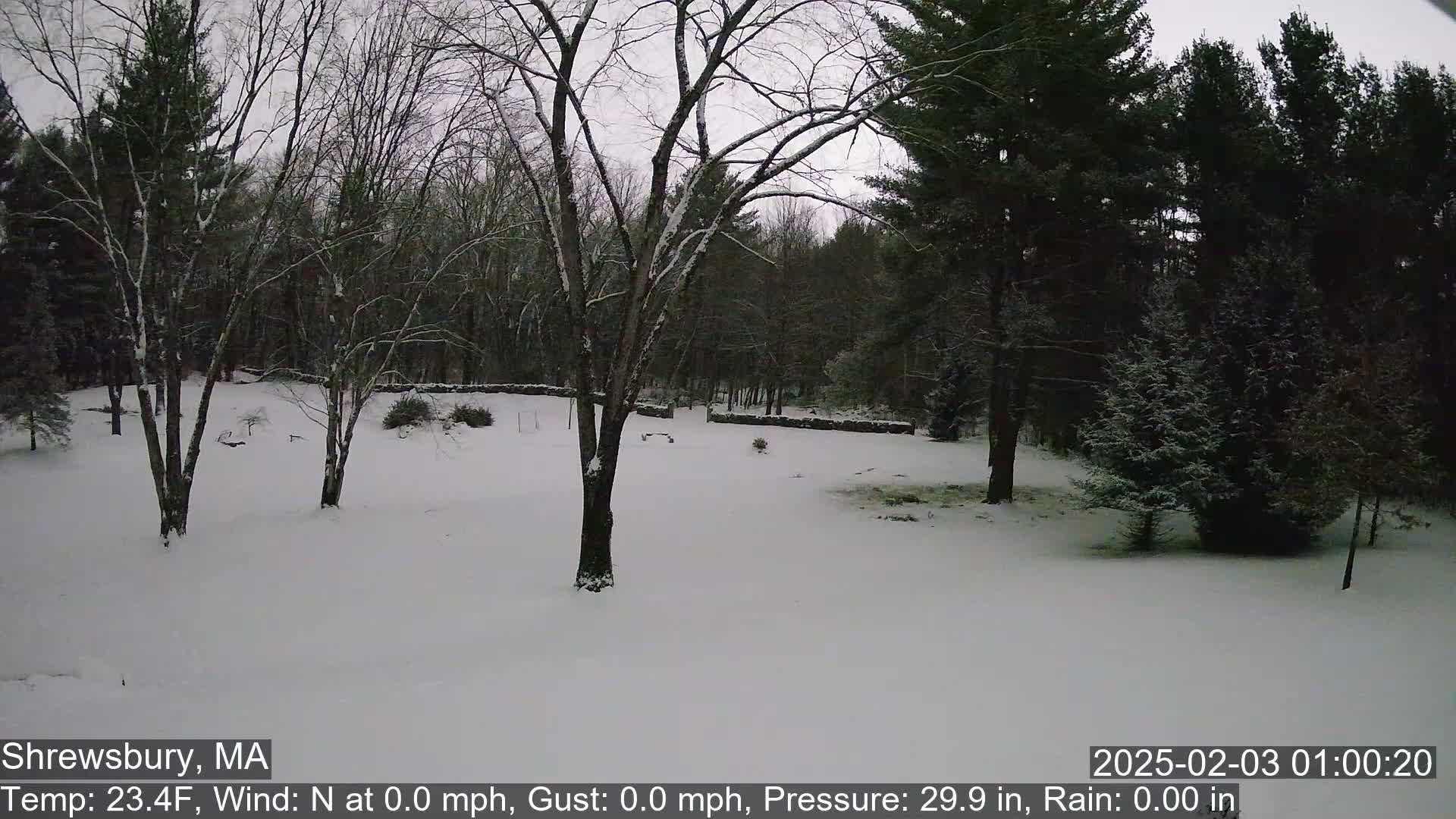 A snow-covered yard with leafless trees and a stone wall in the background under a gray sky.