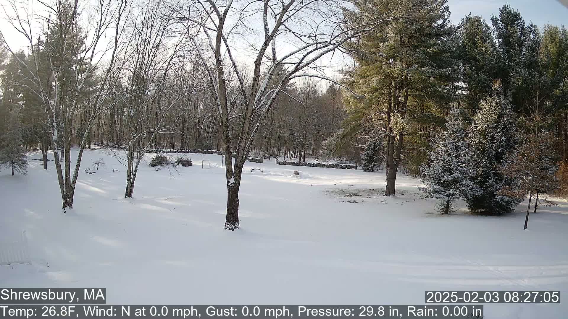 A snow-covered yard with leafless trees and evergreens is visible under a mostly sunny sky.
