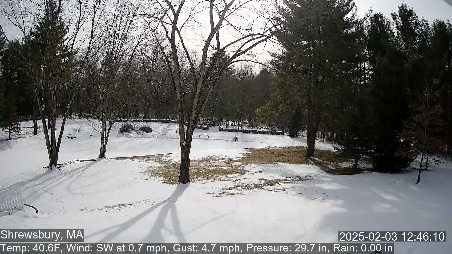 Scenic Pond and Trees Live Cam - Shrewsbury, Massachusetts , USA