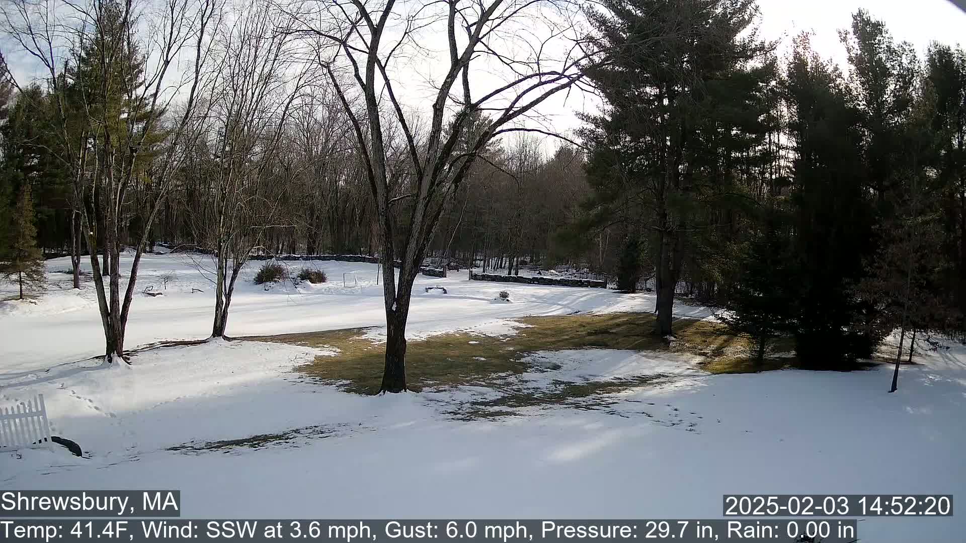 A snow-covered yard with bare trees and a wooded background is seen on a partly sunny day.