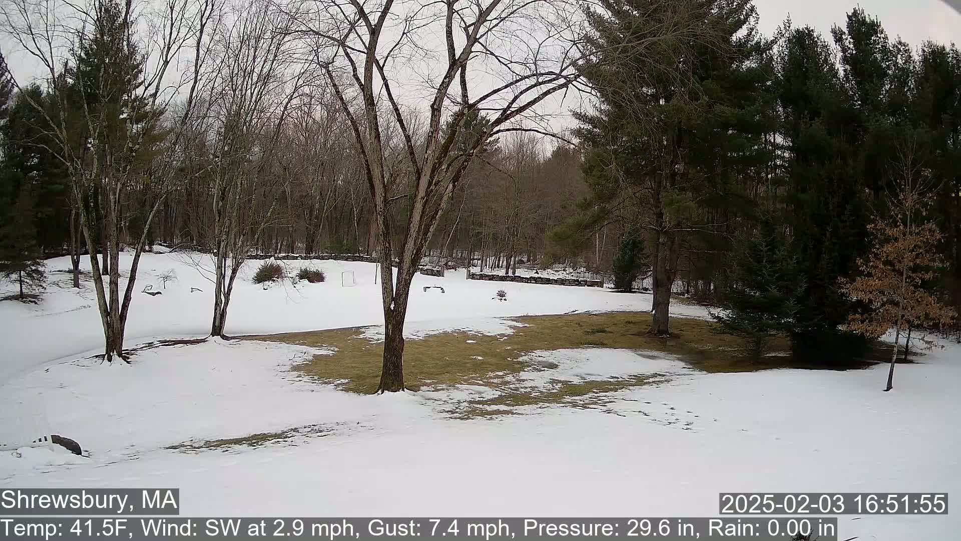 A snow-covered yard with bare trees and a wooded background in a light, overcast sky.