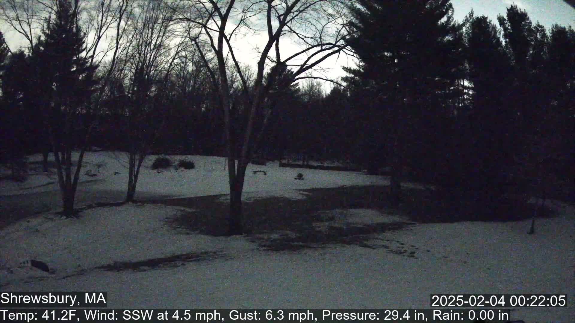 A snow-covered yard is surrounded by dark, leafless trees under a twilight sky.