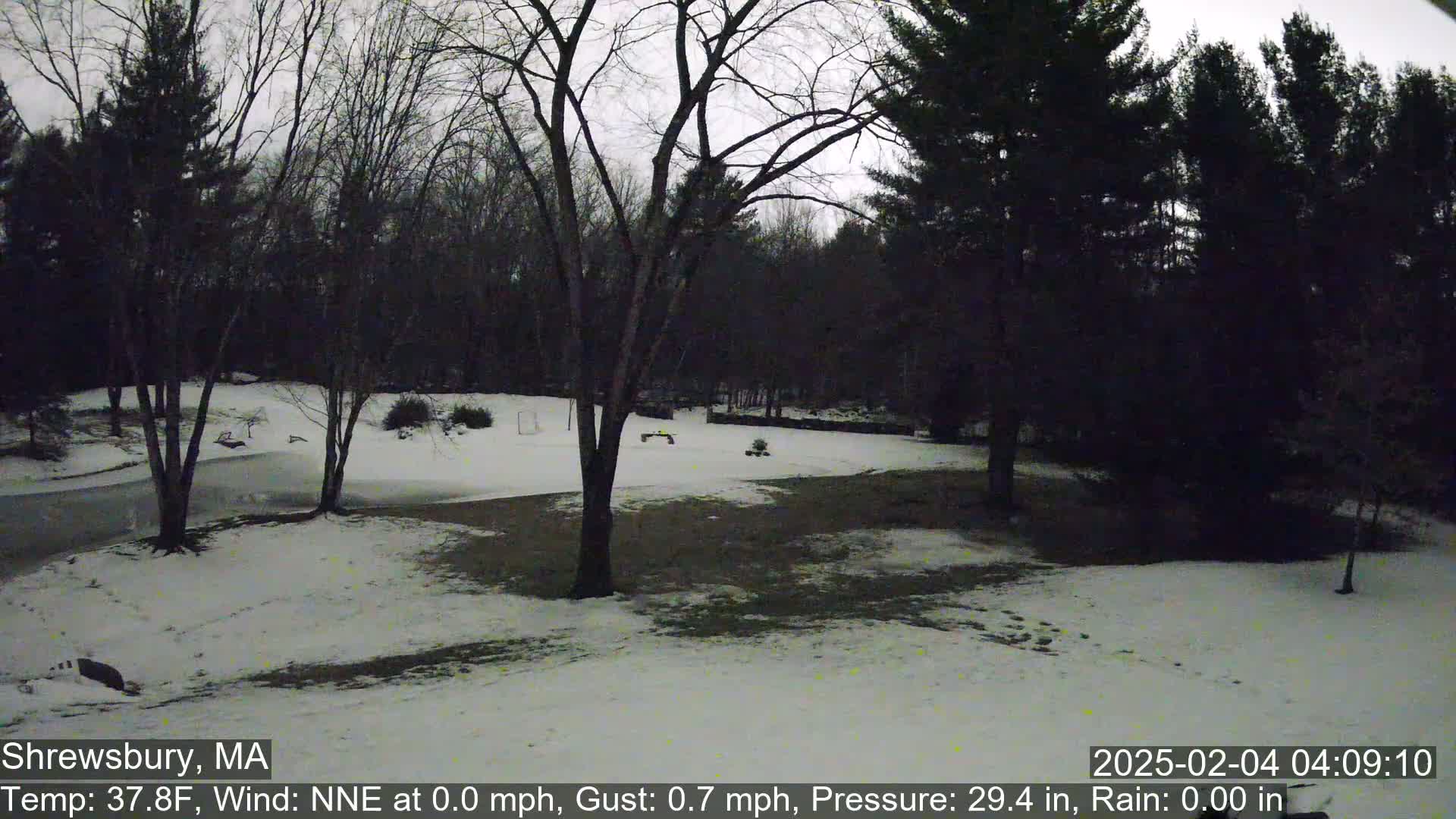 A snow-covered field surrounded by leafless trees under a gray, overcast sky.