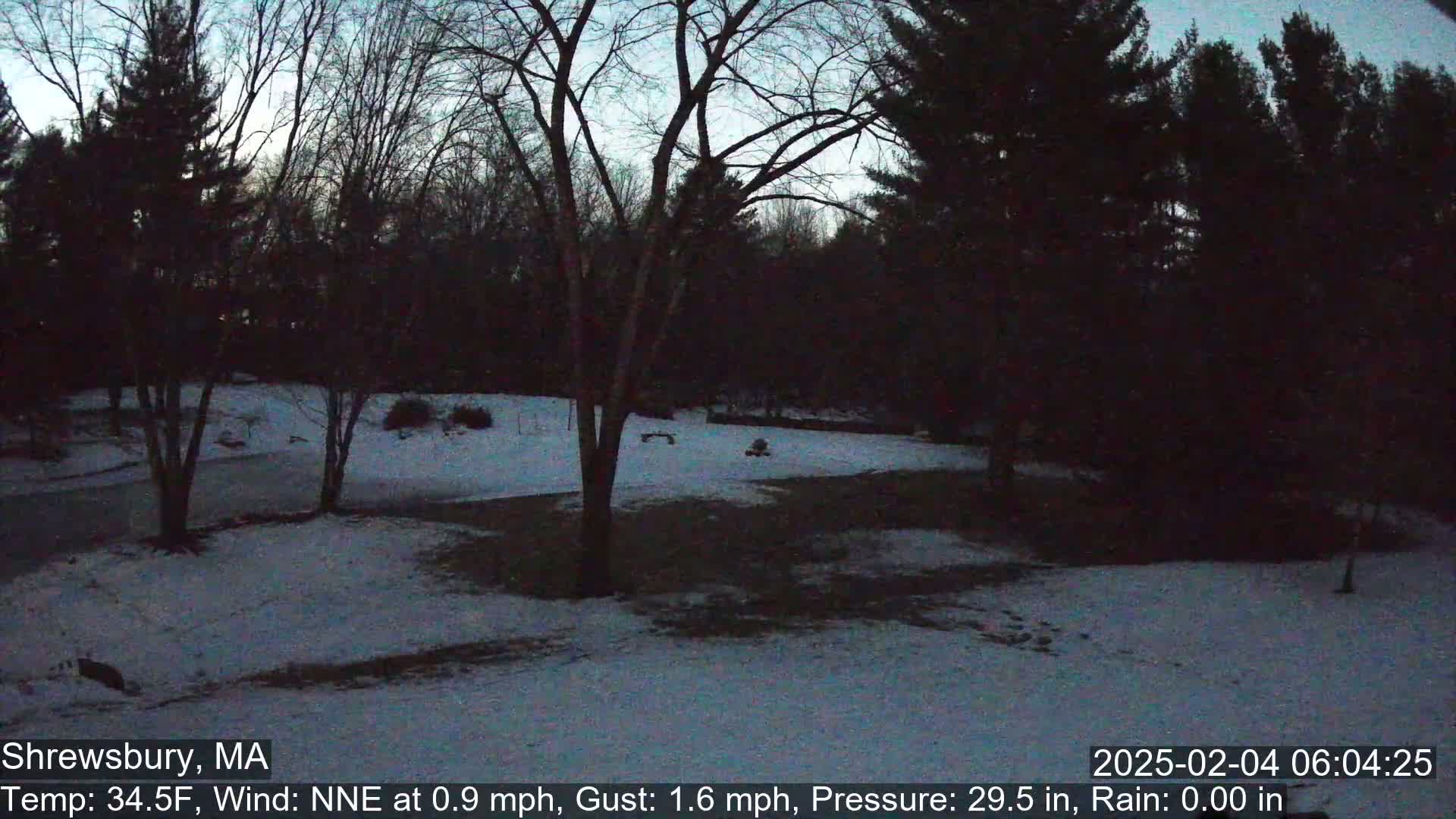 A snow-covered yard is surrounded by dark, leafless trees under a twilight sky.