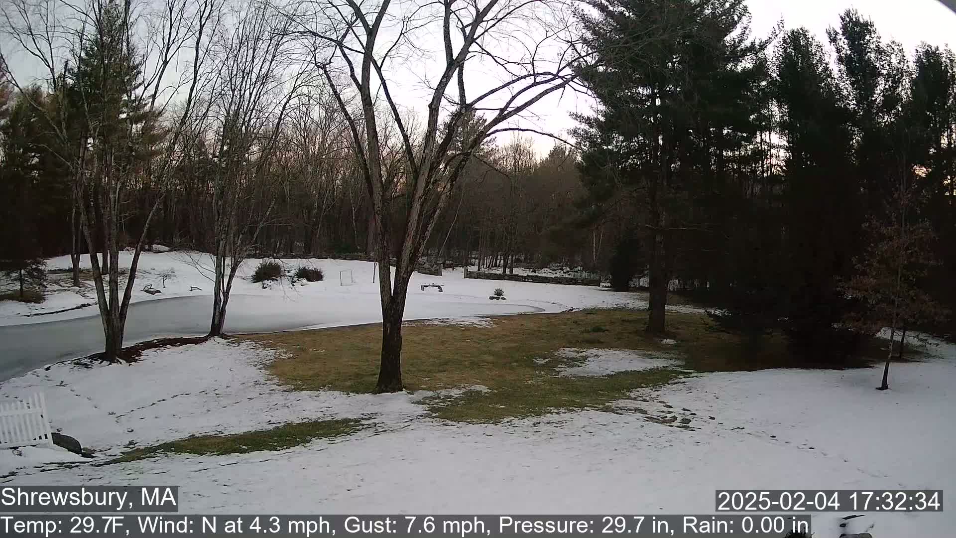 Scenic Pond and Trees Live Cam - Shrewsbury, Massachusetts , USA