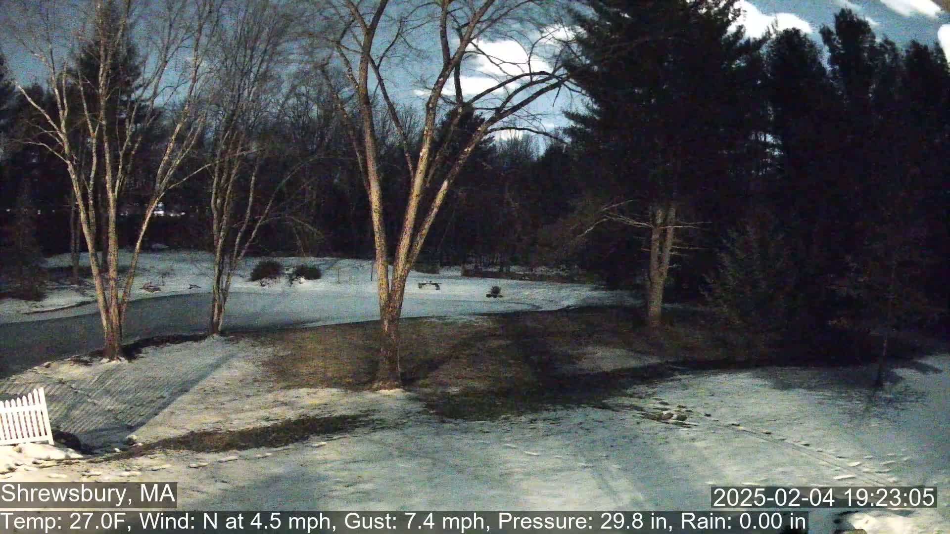 A snow-covered yard with bare trees under a partly cloudy night sky.