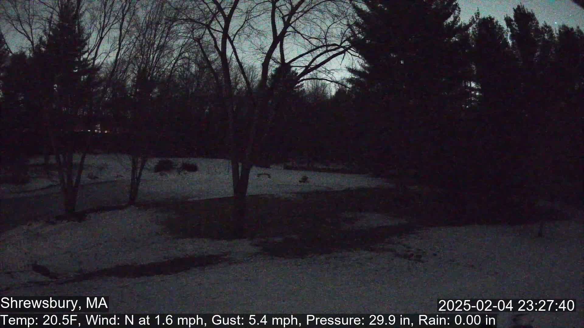 A snow-covered yard at night is surrounded by dark trees under a mostly clear sky.