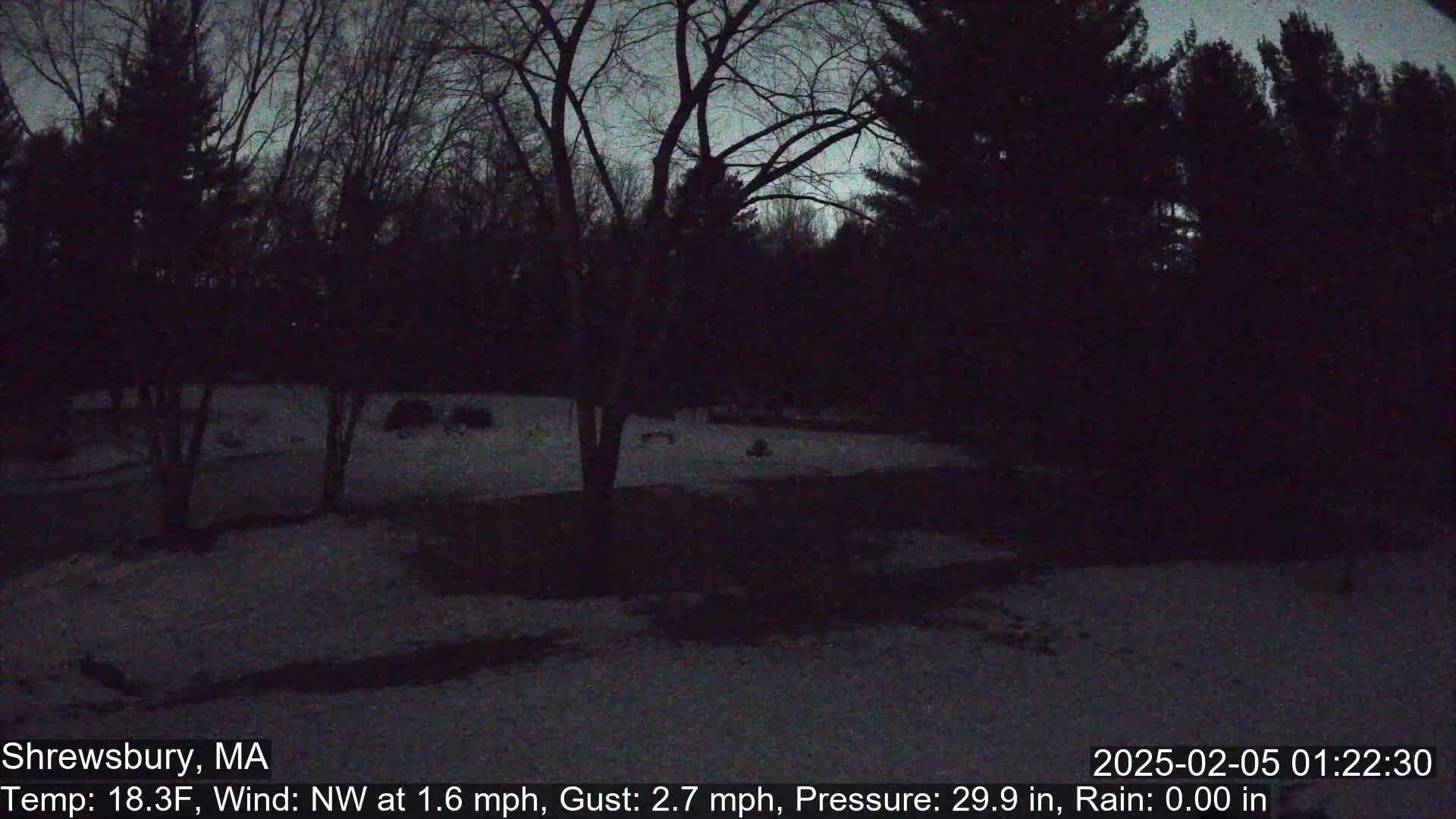 A snow-covered yard is surrounded by dark, leafless trees under a twilight sky.
