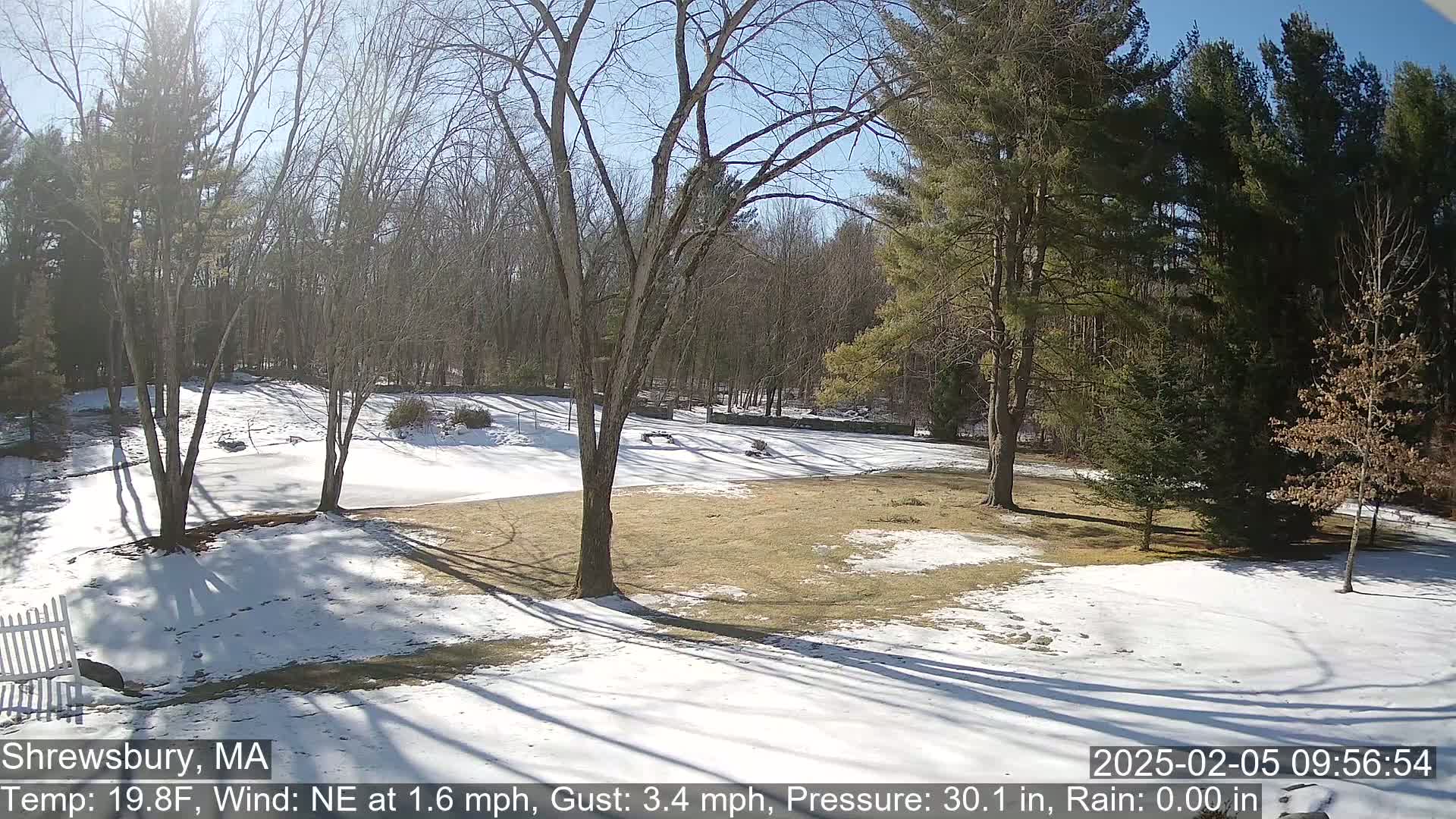 Scenic Pond and Trees Live Cam - Shrewsbury, Massachusetts , USA