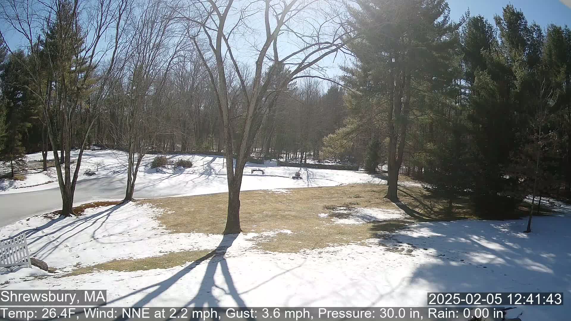 A sunny, snow-covered yard with bare trees and a wooded background.