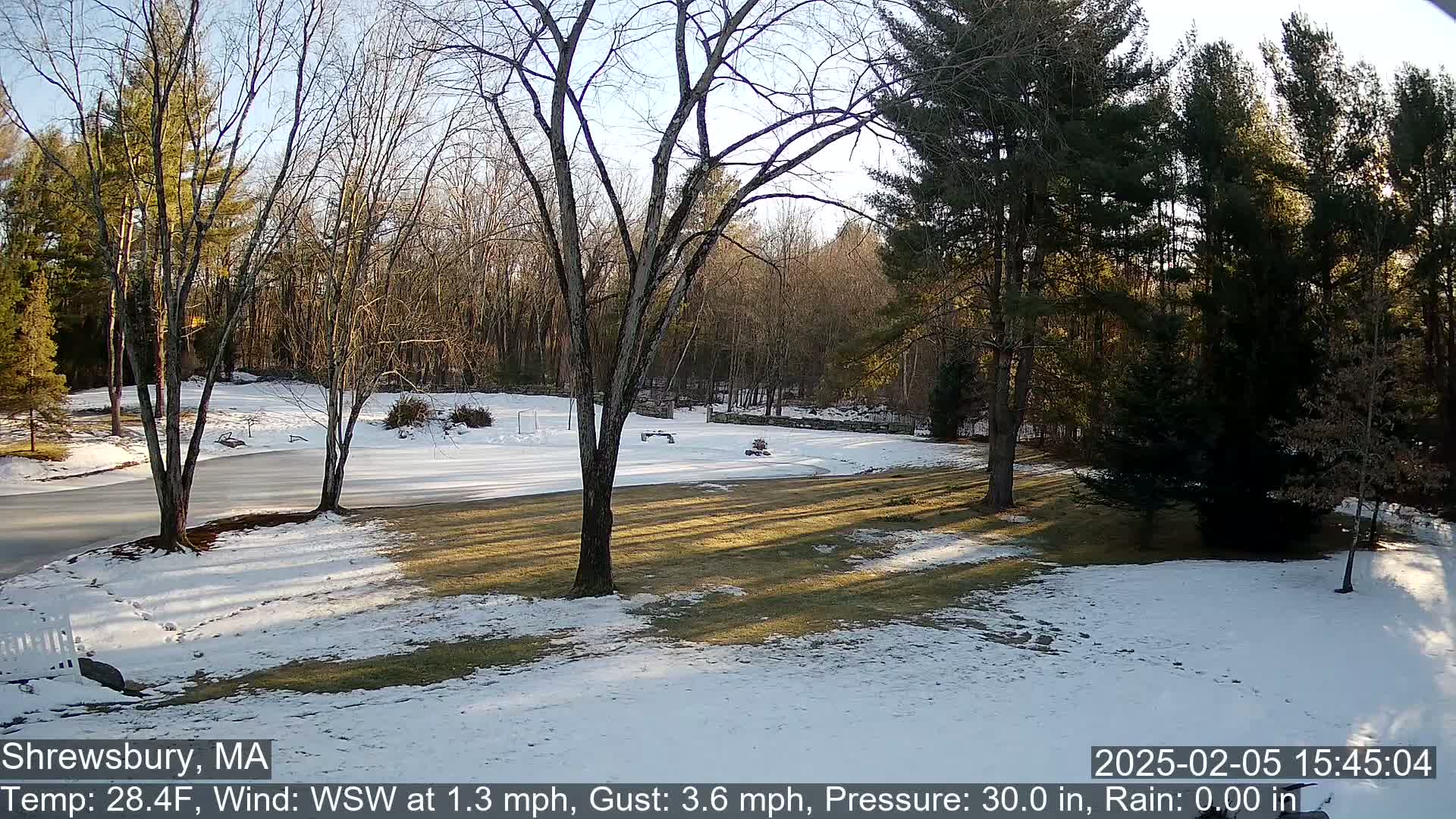 Scenic Pond and Trees Live Cam - Shrewsbury, Massachusetts , USA