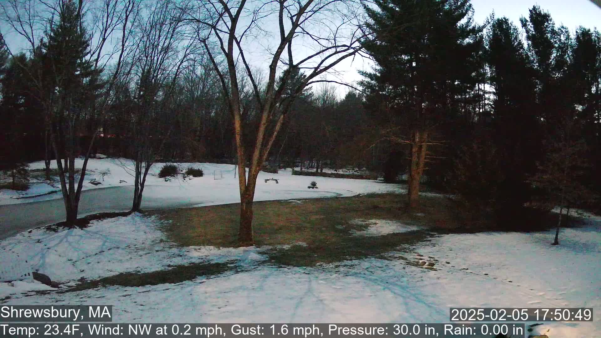 Scenic Pond and Trees Live Cam - Shrewsbury, Massachusetts , USA