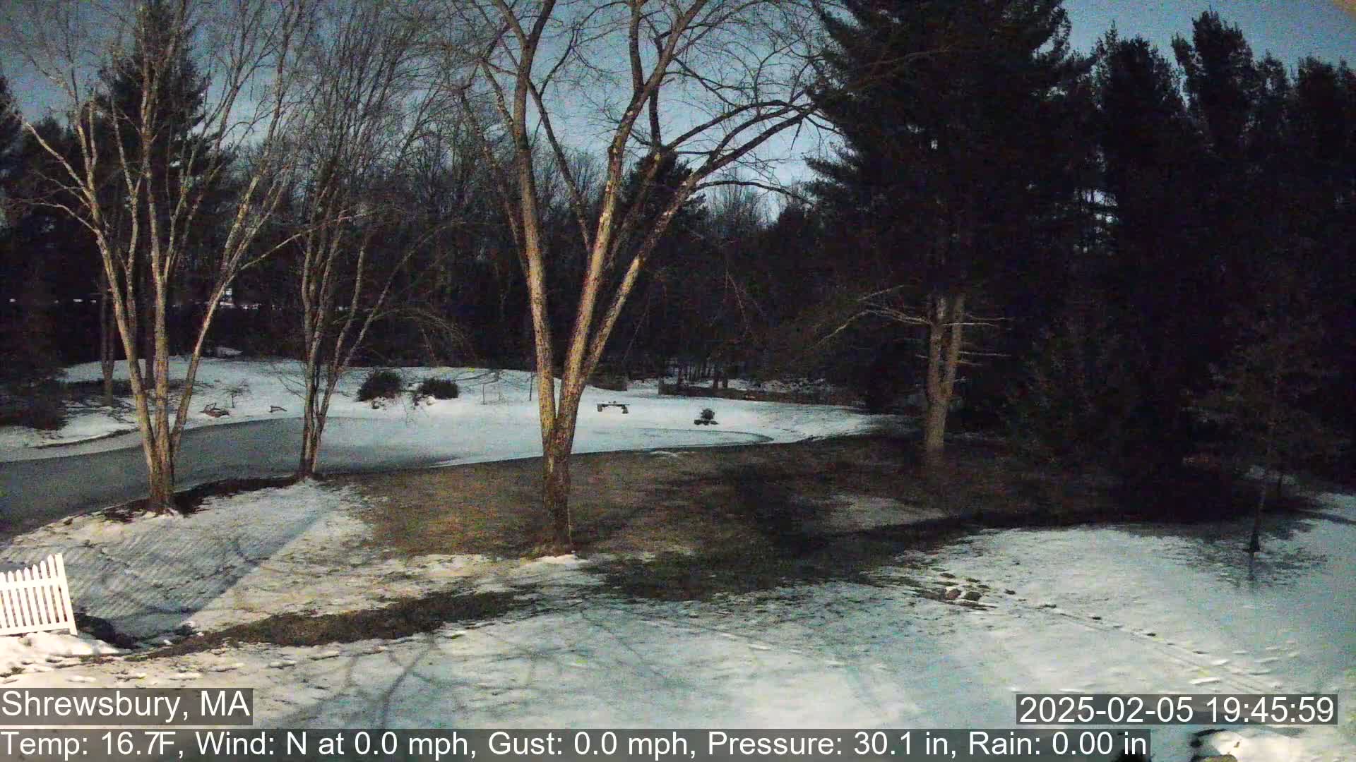 A snow-covered yard with bare trees under a twilight sky.