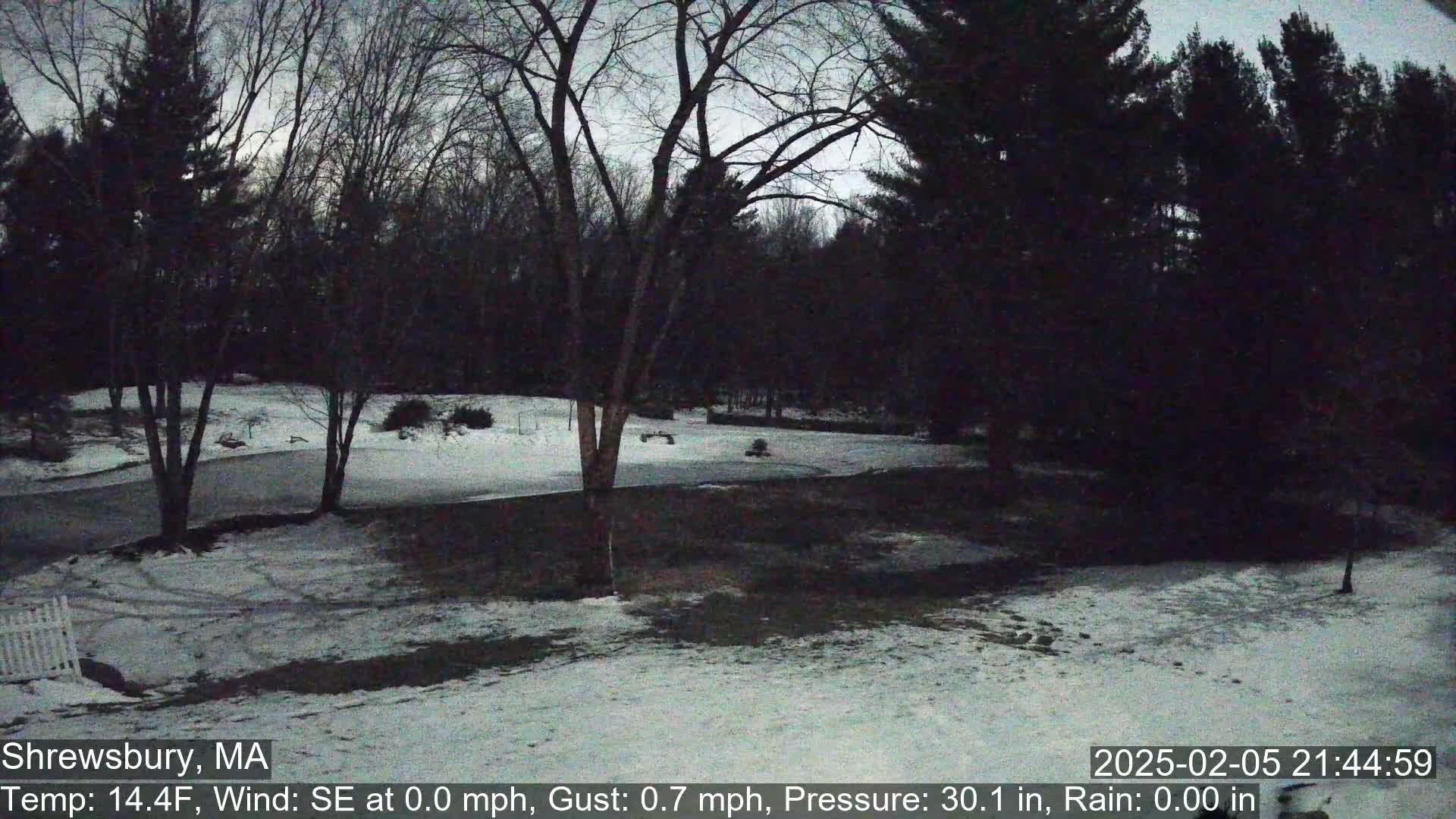 A snow-covered yard with bare trees under a twilight sky.