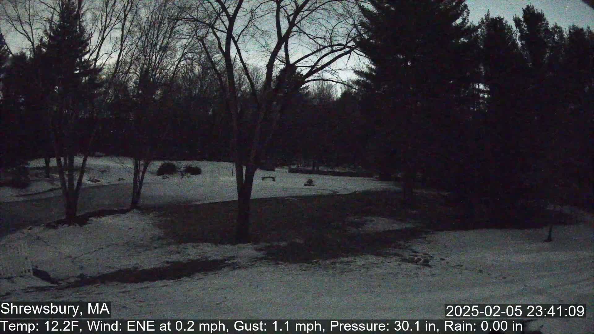 A snow-covered yard, bordered by dark trees under a twilight sky.