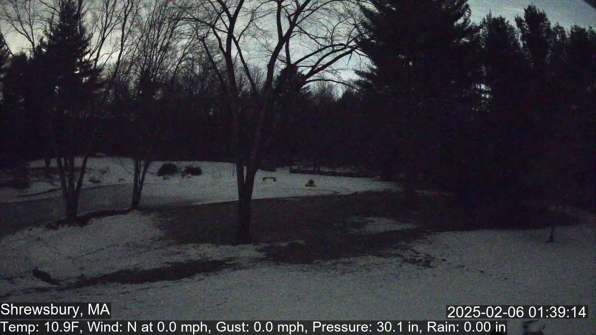 A snow-covered yard is surrounded by dark, leafless trees under a twilight sky.