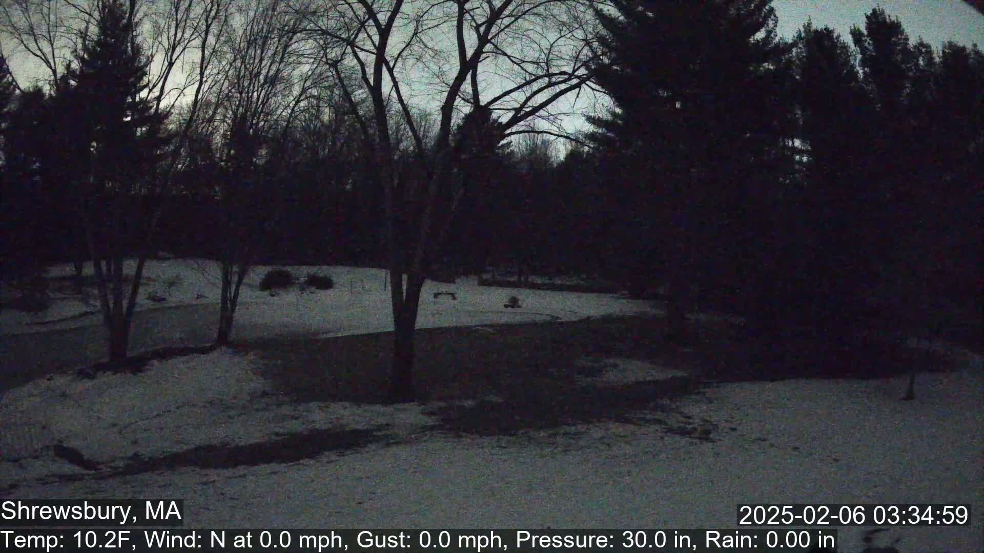 Scenic Pond and Trees Live Cam - Shrewsbury, Massachusetts , USA
