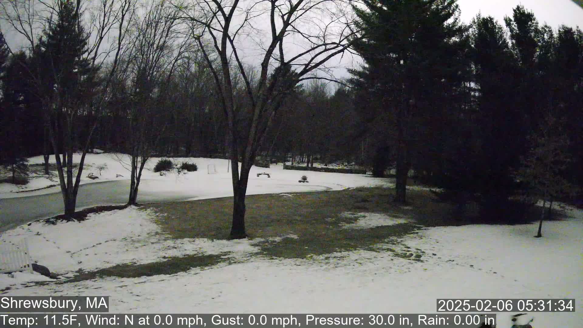 Scenic Pond and Trees Live Cam - Shrewsbury, Massachusetts , USA