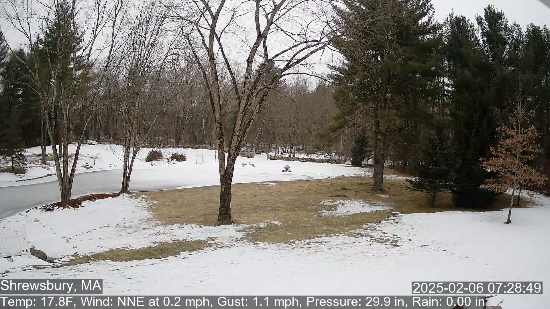 Scenic Pond and Trees Live Cam - Shrewsbury, Massachusetts , USA