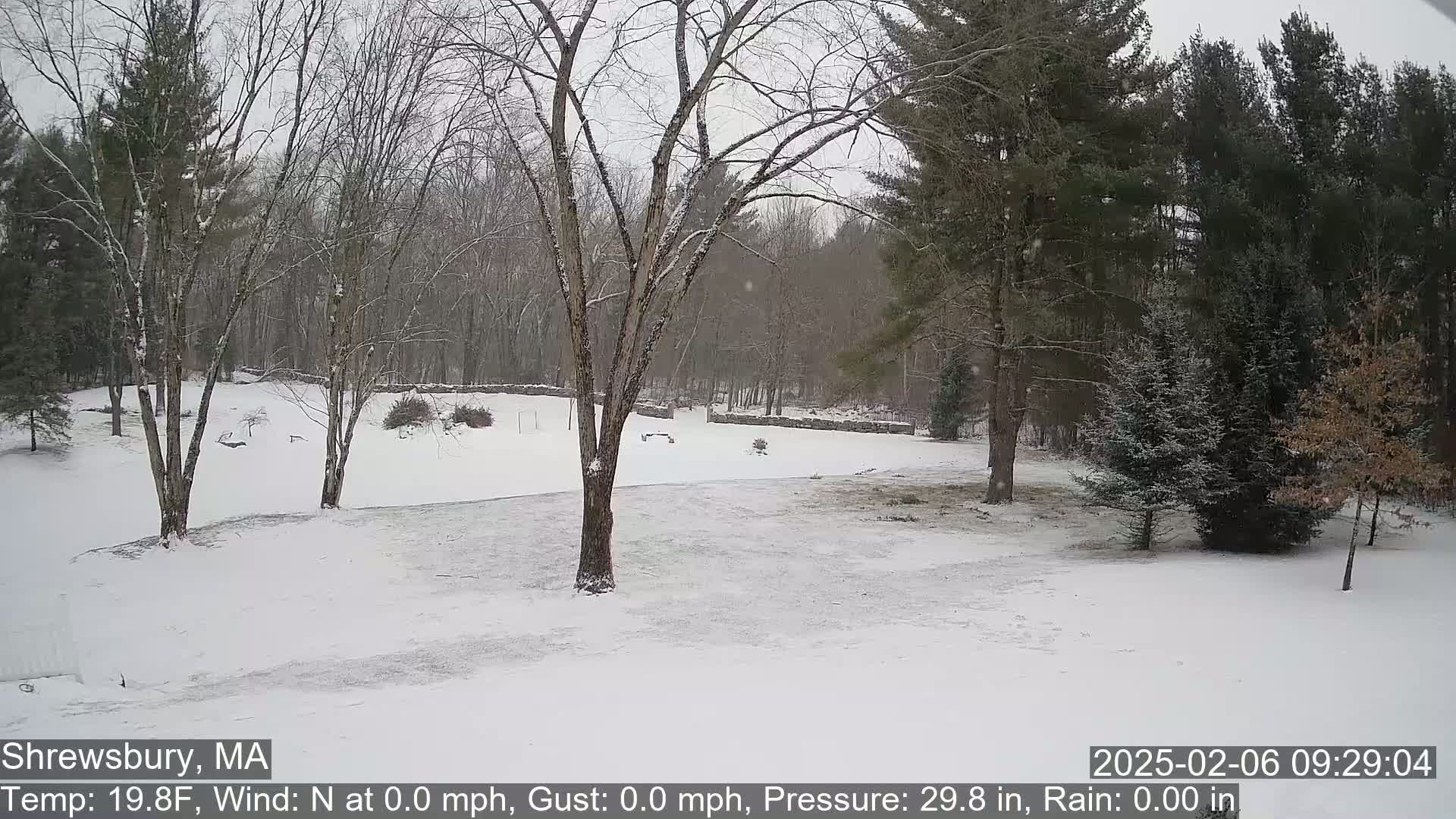 Scenic Pond and Trees Live Cam - Shrewsbury, Massachusetts , USA