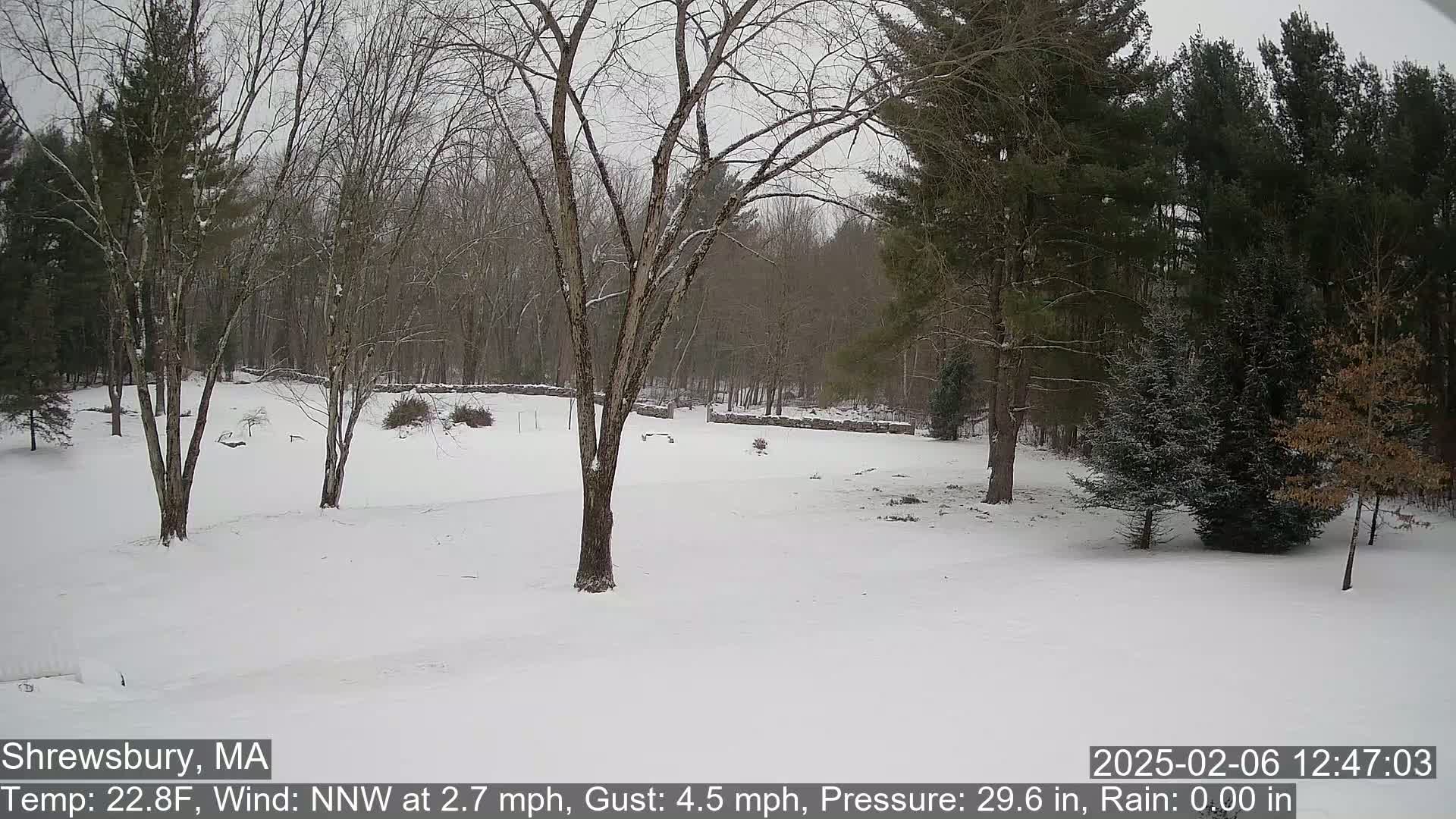 A snow-covered yard with leafless trees and a stone wall in the background, under an overcast sky.