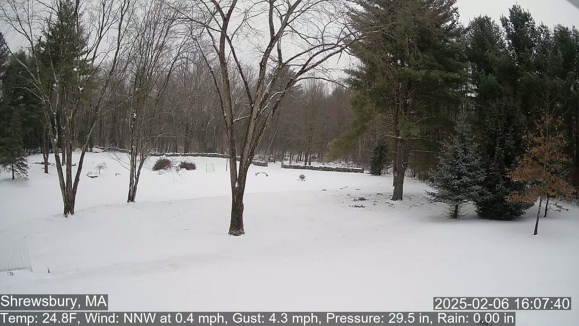 Scenic Pond and Trees Live Cam - Shrewsbury, Massachusetts , USA