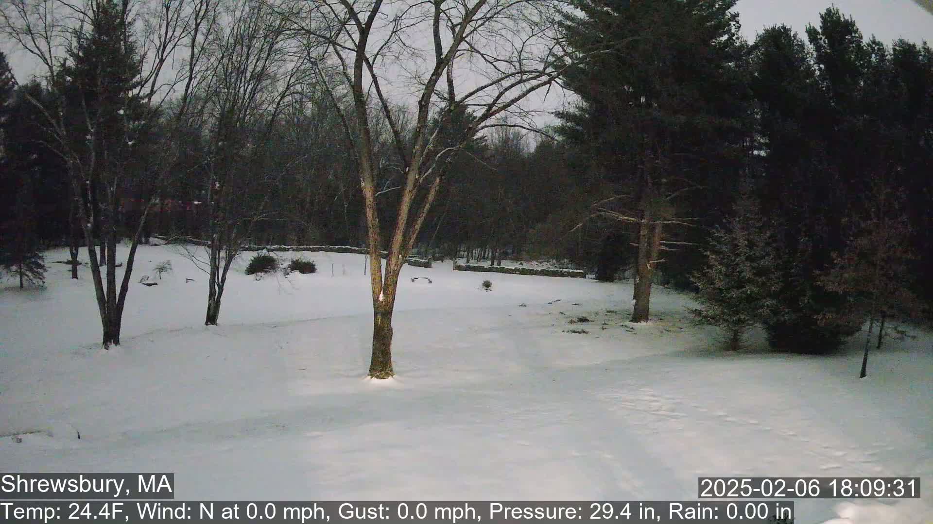 Scenic Pond and Trees Live Cam - Shrewsbury, Massachusetts , USA
