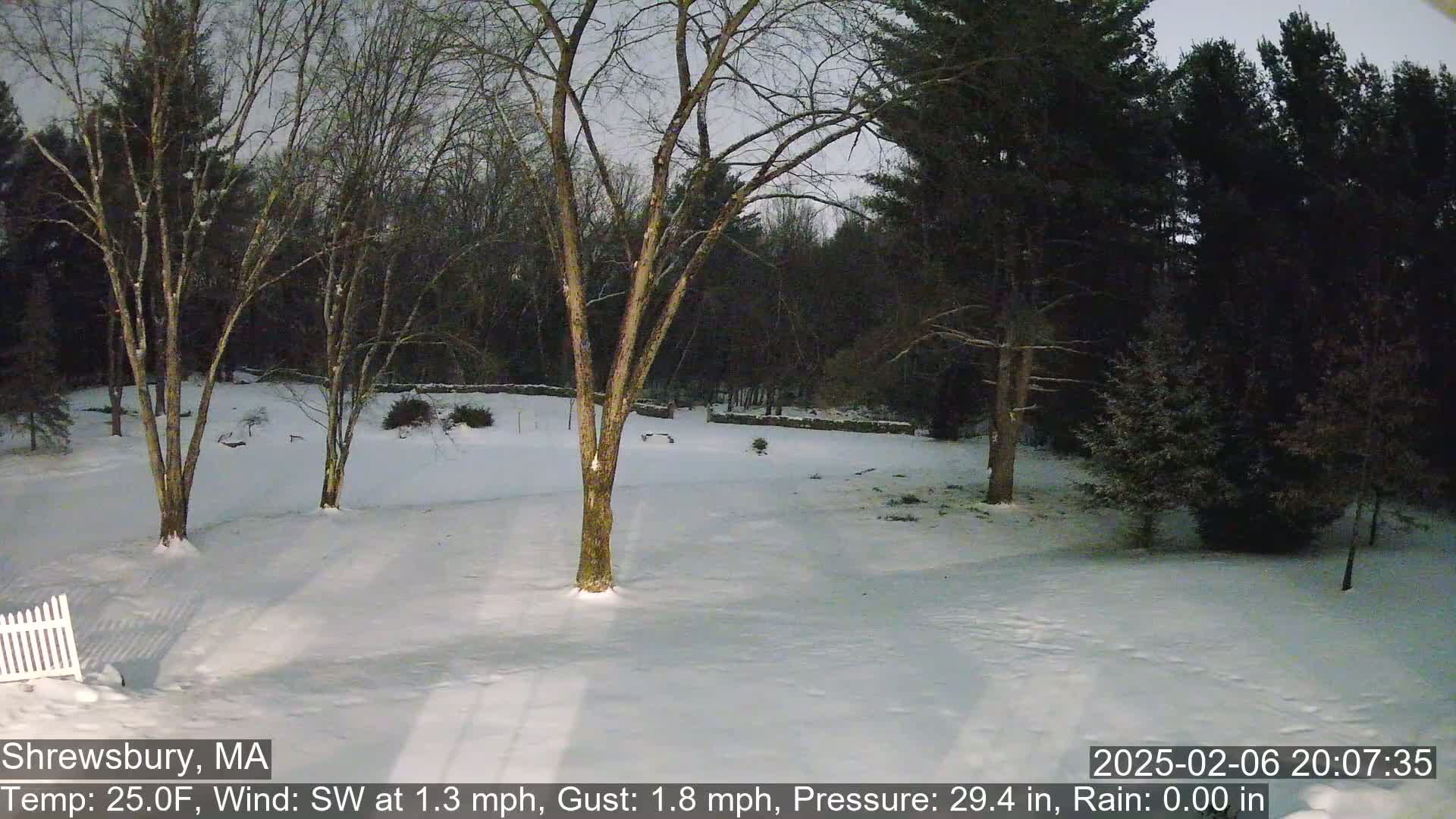 Scenic Pond and Trees Live Cam - Shrewsbury, Massachusetts , USA