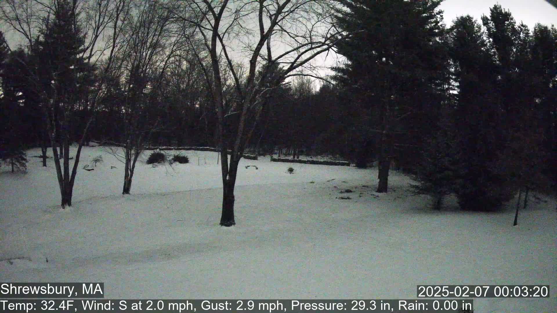 Scenic Pond and Trees Live Cam - Shrewsbury, Massachusetts , USA