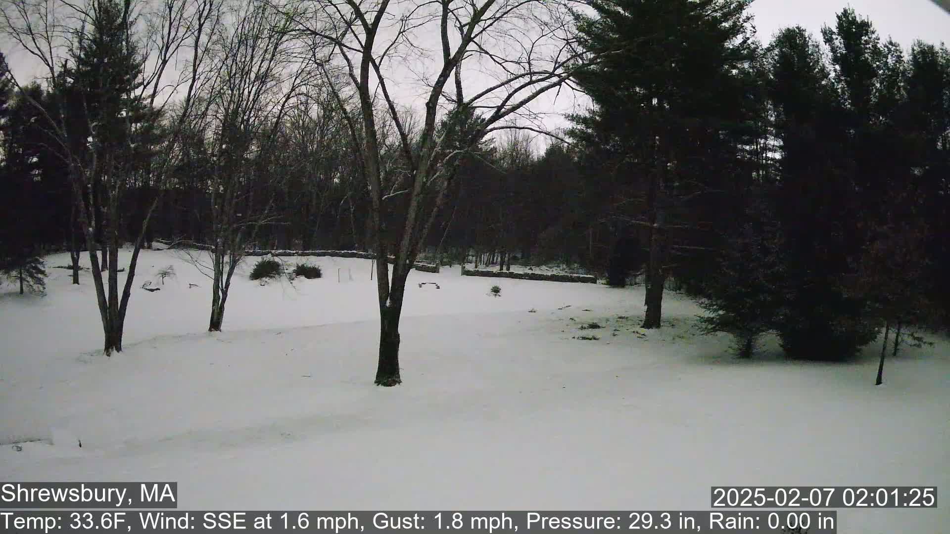 Scenic Pond and Trees Live Cam - Shrewsbury, Massachusetts , USA