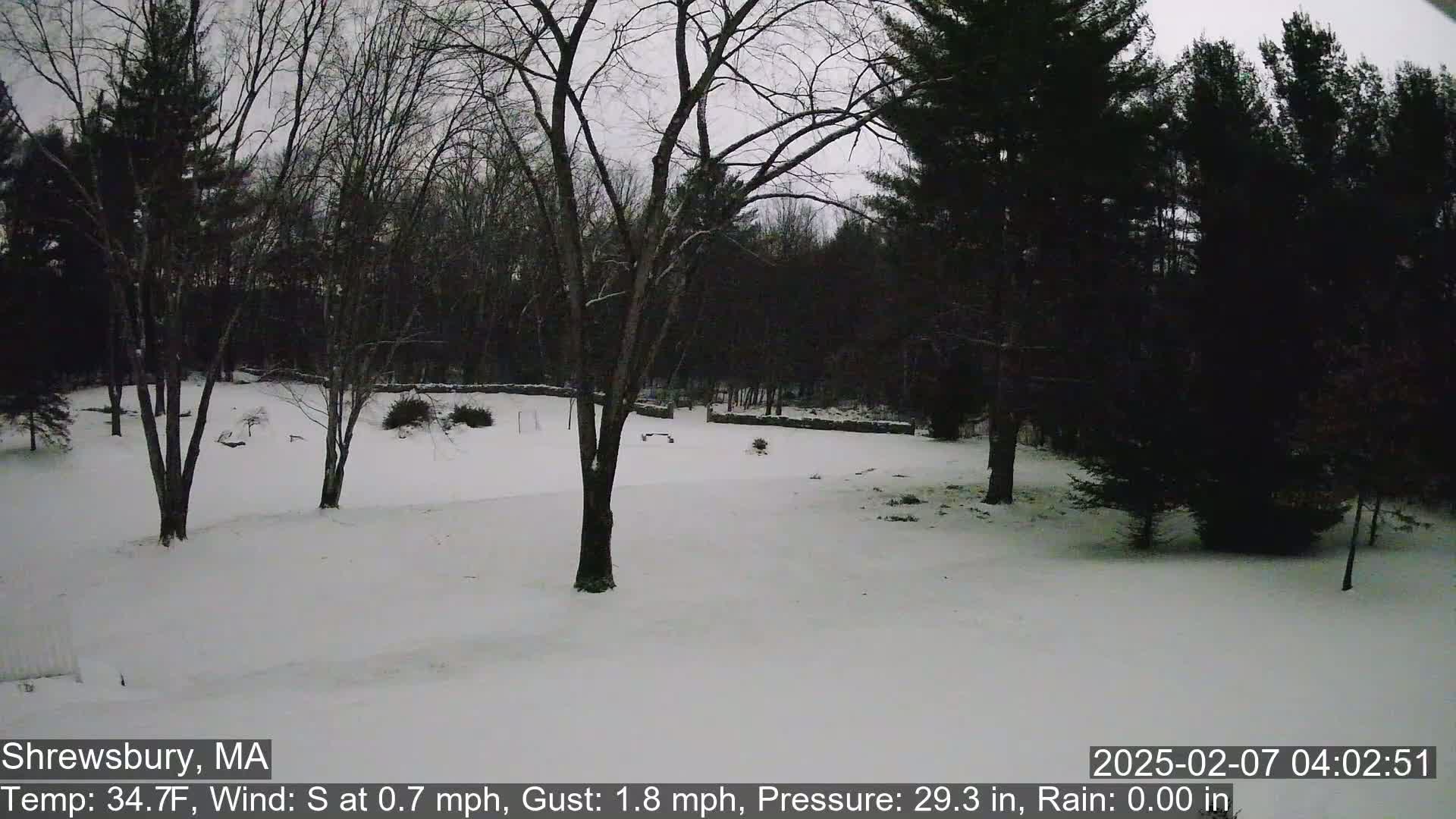 Scenic Pond and Trees Live Cam - Shrewsbury, Massachusetts , USA