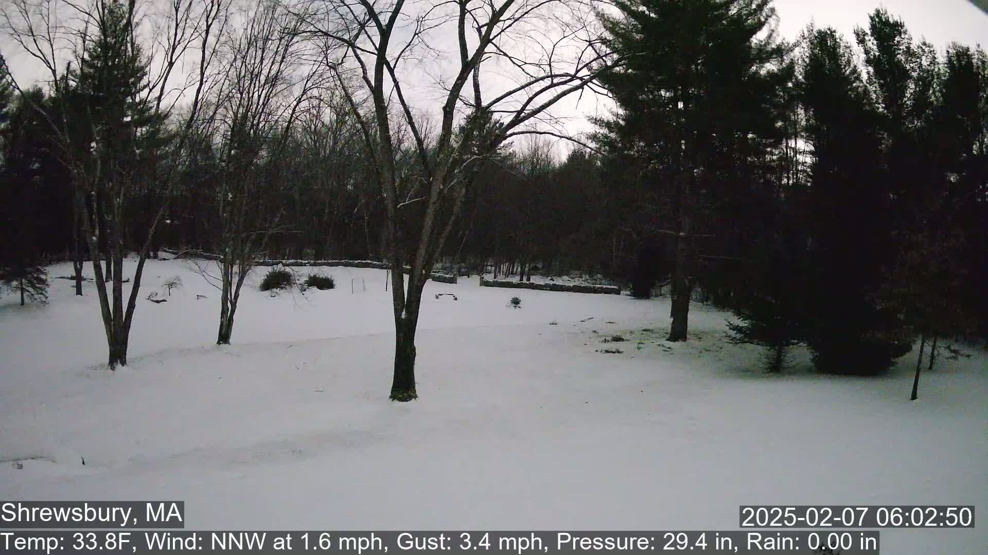 Scenic Pond and Trees Live Cam - Shrewsbury, Massachusetts , USA
