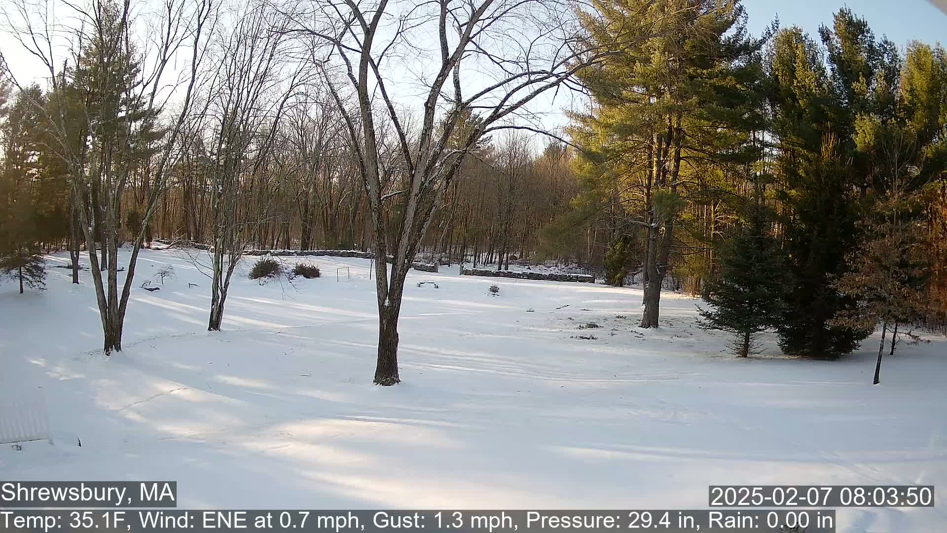 Scenic Pond and Trees Live Cam - Shrewsbury, Massachusetts , USA