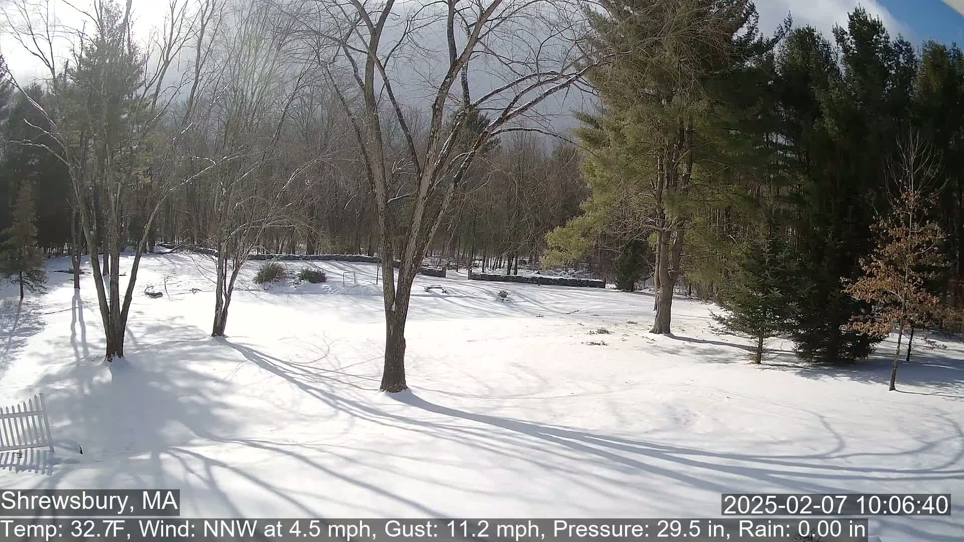 Scenic Pond and Trees Live Cam - Shrewsbury, Massachusetts , USA