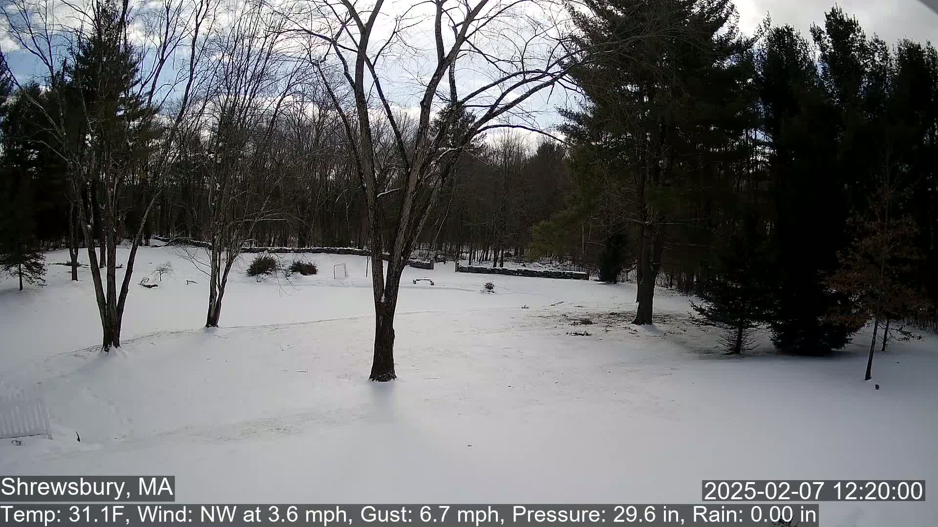 Scenic Pond and Trees Live Cam - Shrewsbury, Massachusetts , USA