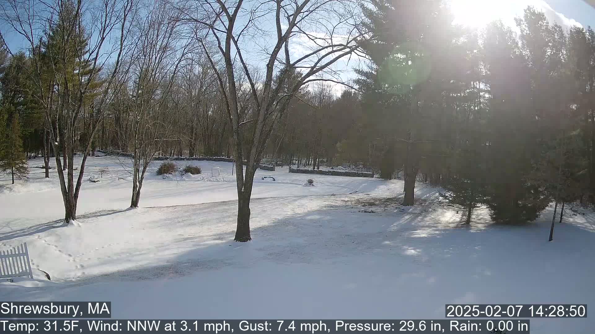 Scenic Pond and Trees Live Cam - Shrewsbury, Massachusetts , USA
