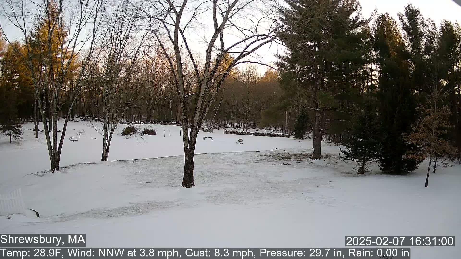 Scenic Pond and Trees Live Cam - Shrewsbury, Massachusetts , USA