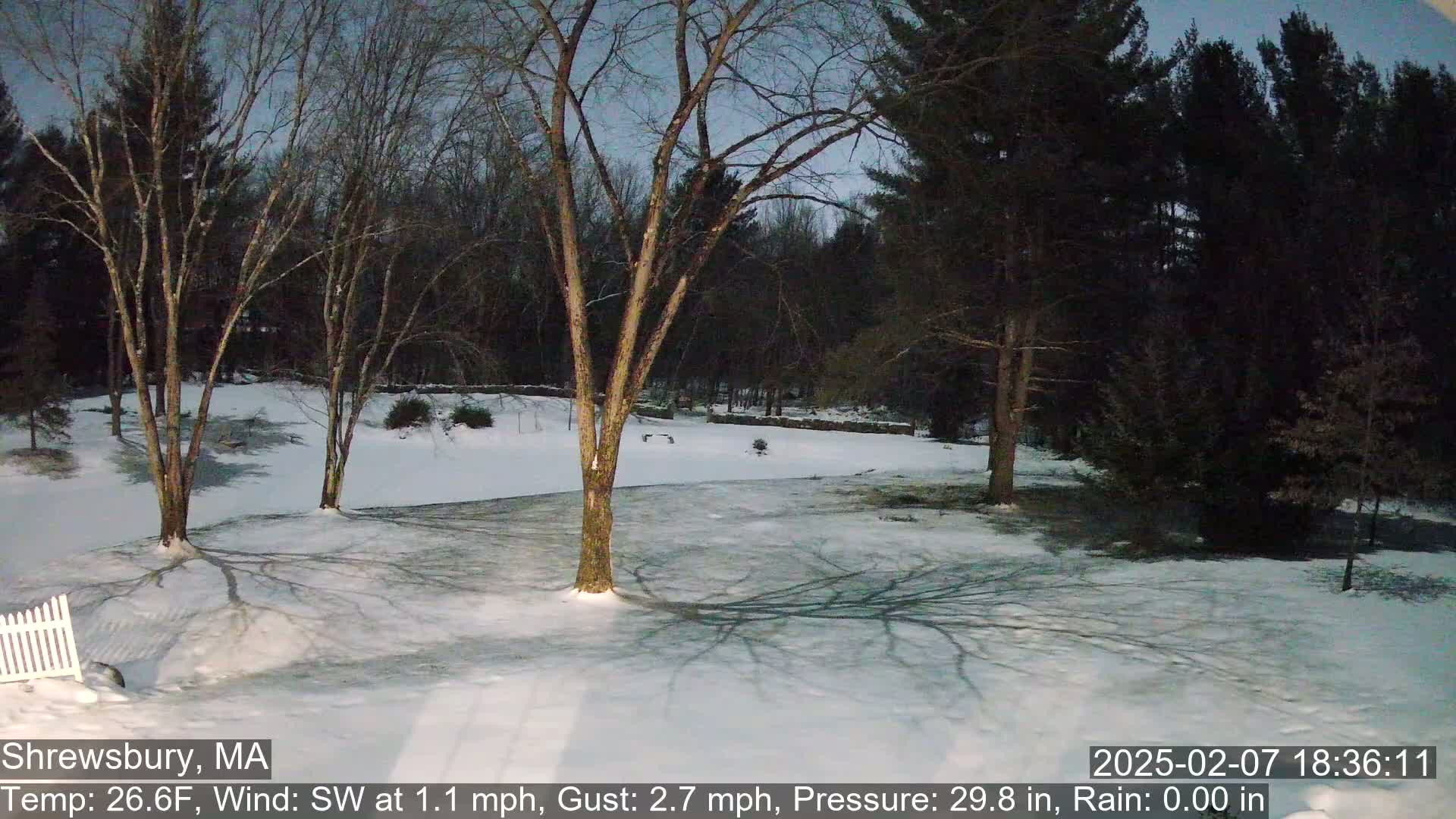 A snow-covered yard with bare trees under a twilight sky.