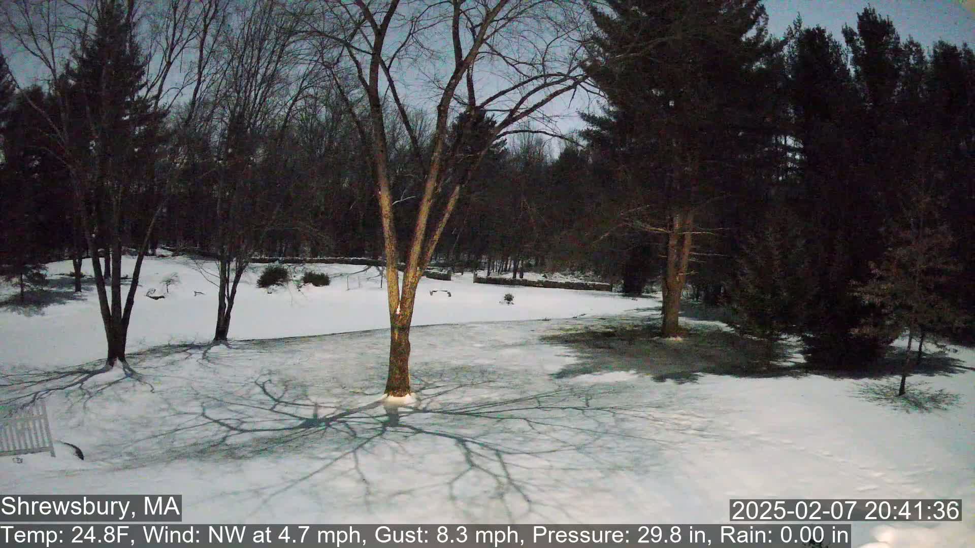 A snow-covered yard at twilight, surrounded by dark trees under a dusky sky.