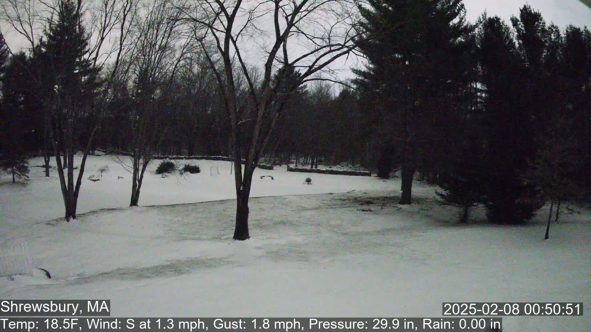 A snow-covered yard and wooded area are visible under a gray sky.