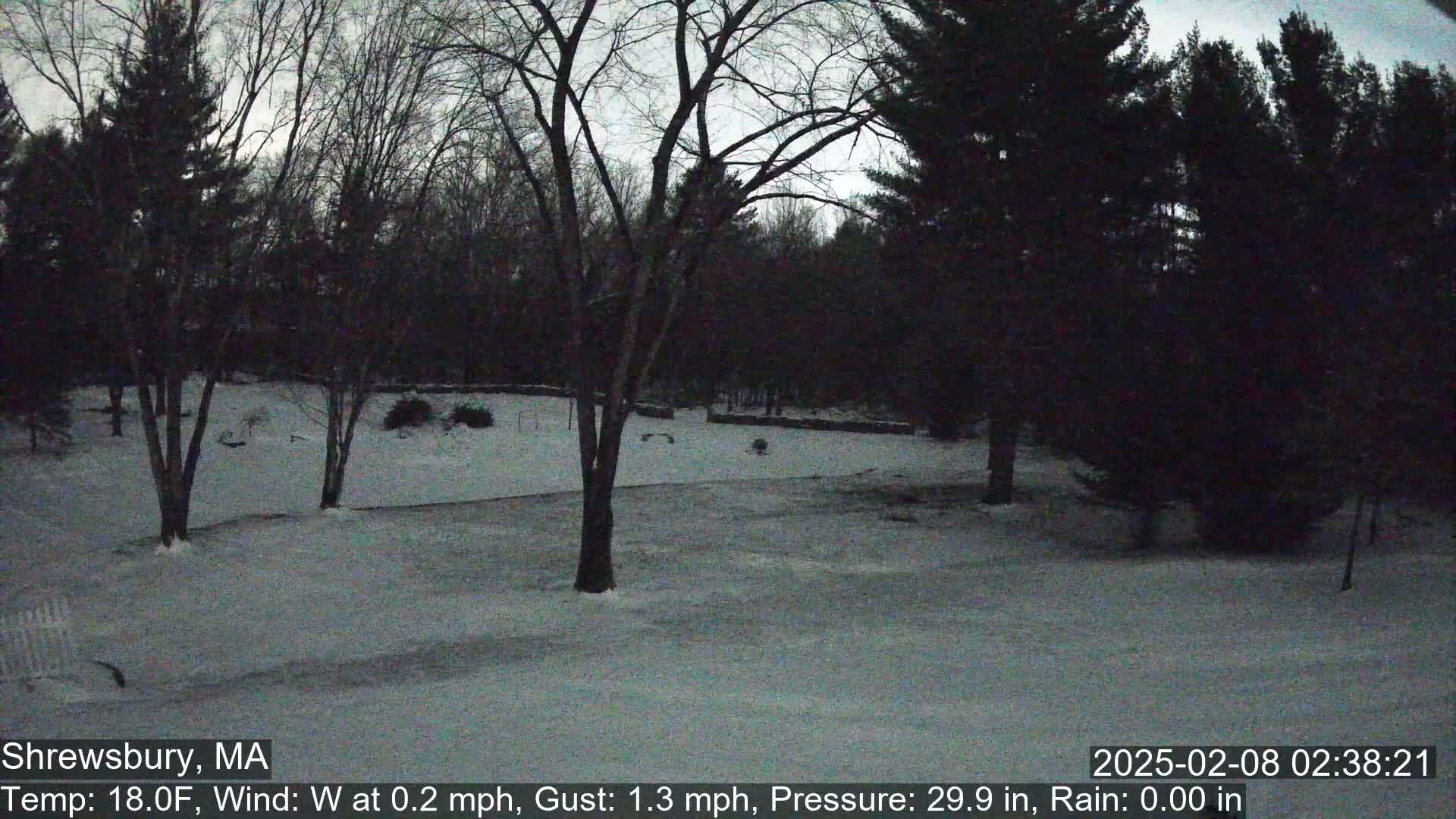 A snow-covered yard is surrounded by dark, leafless trees under a twilight sky.