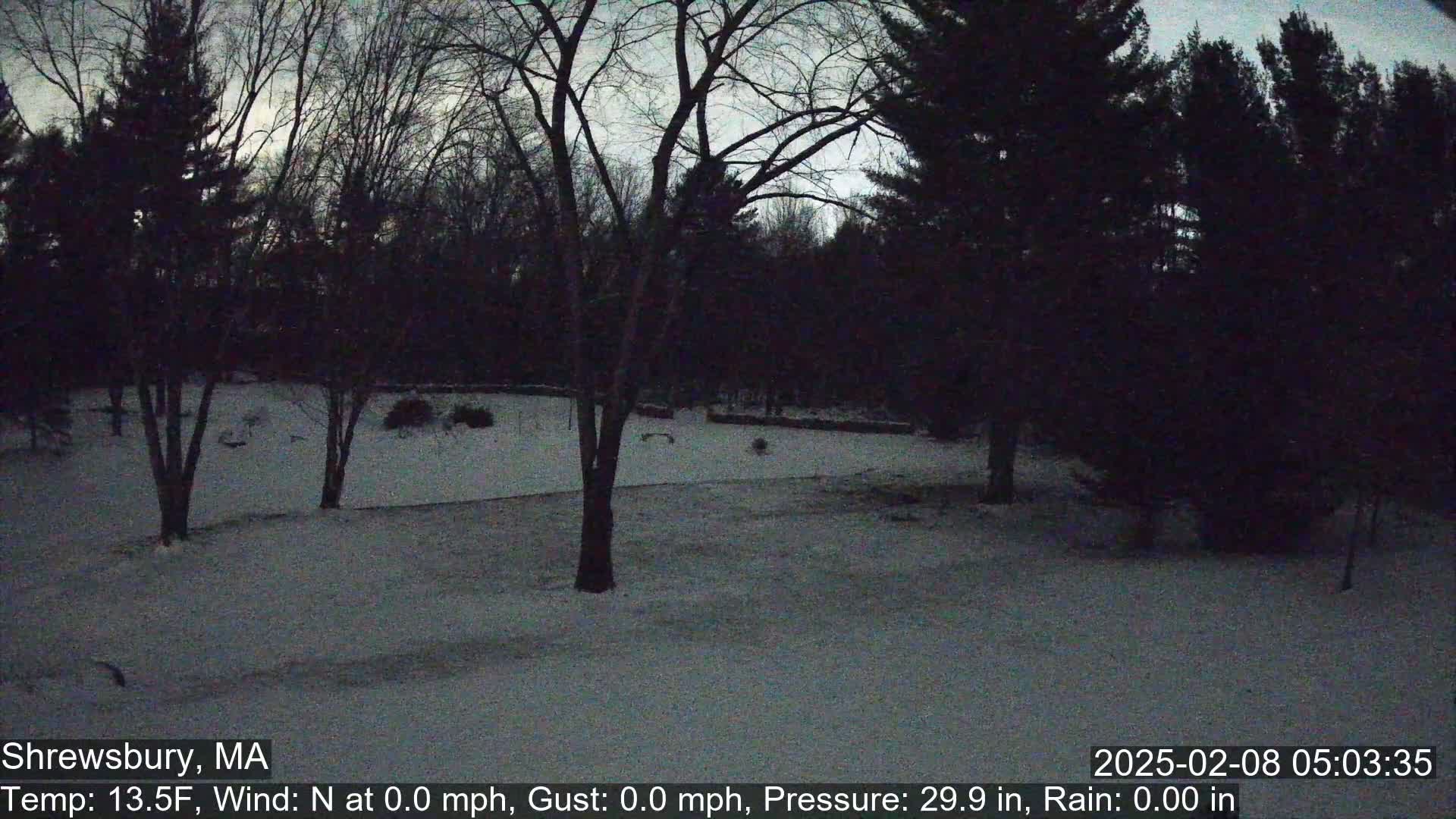 A snow-covered yard is surrounded by dark, leafless trees under a twilight sky.