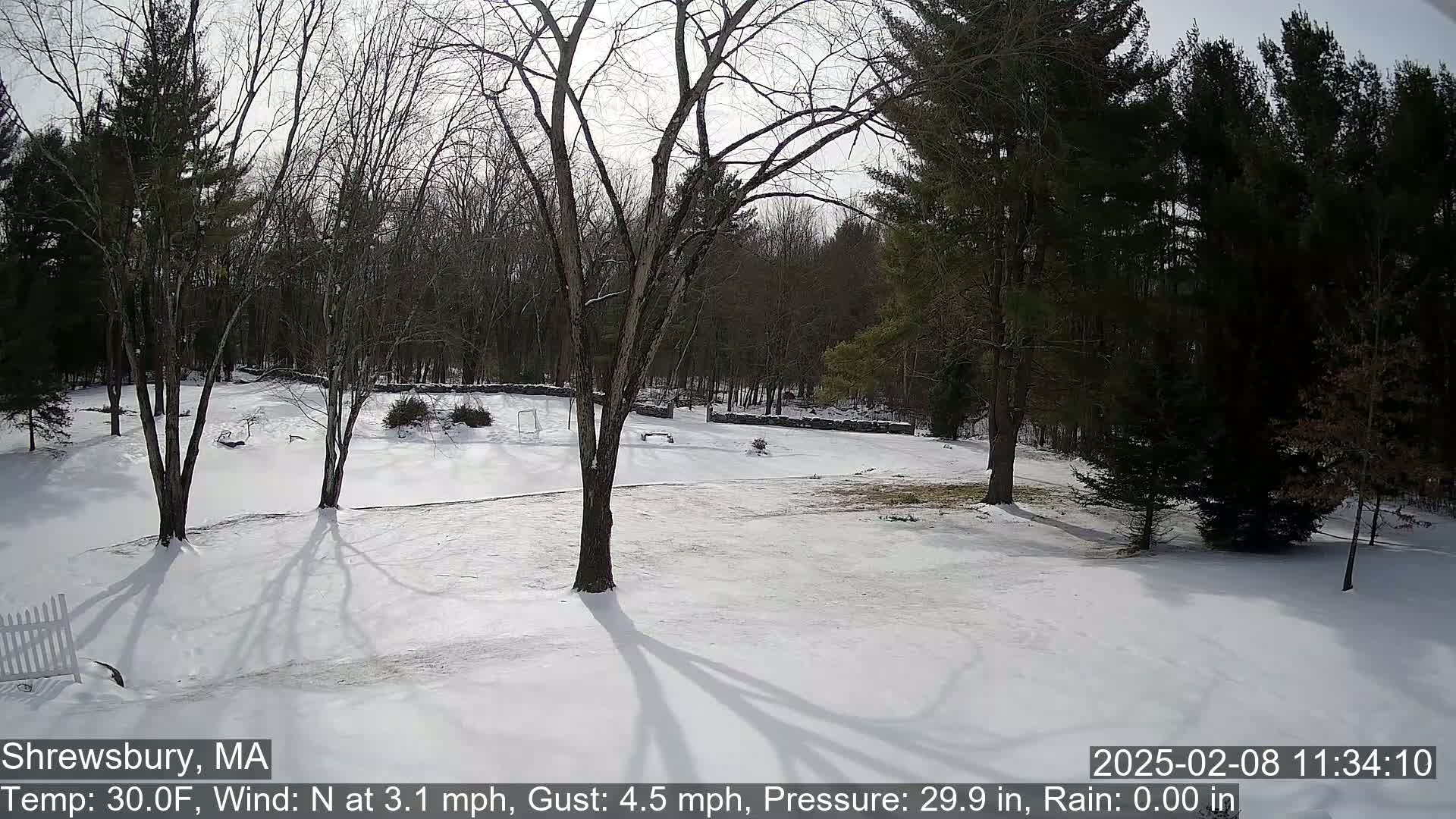 A snow-covered yard with leafless trees and a wooded background on a sunny day.