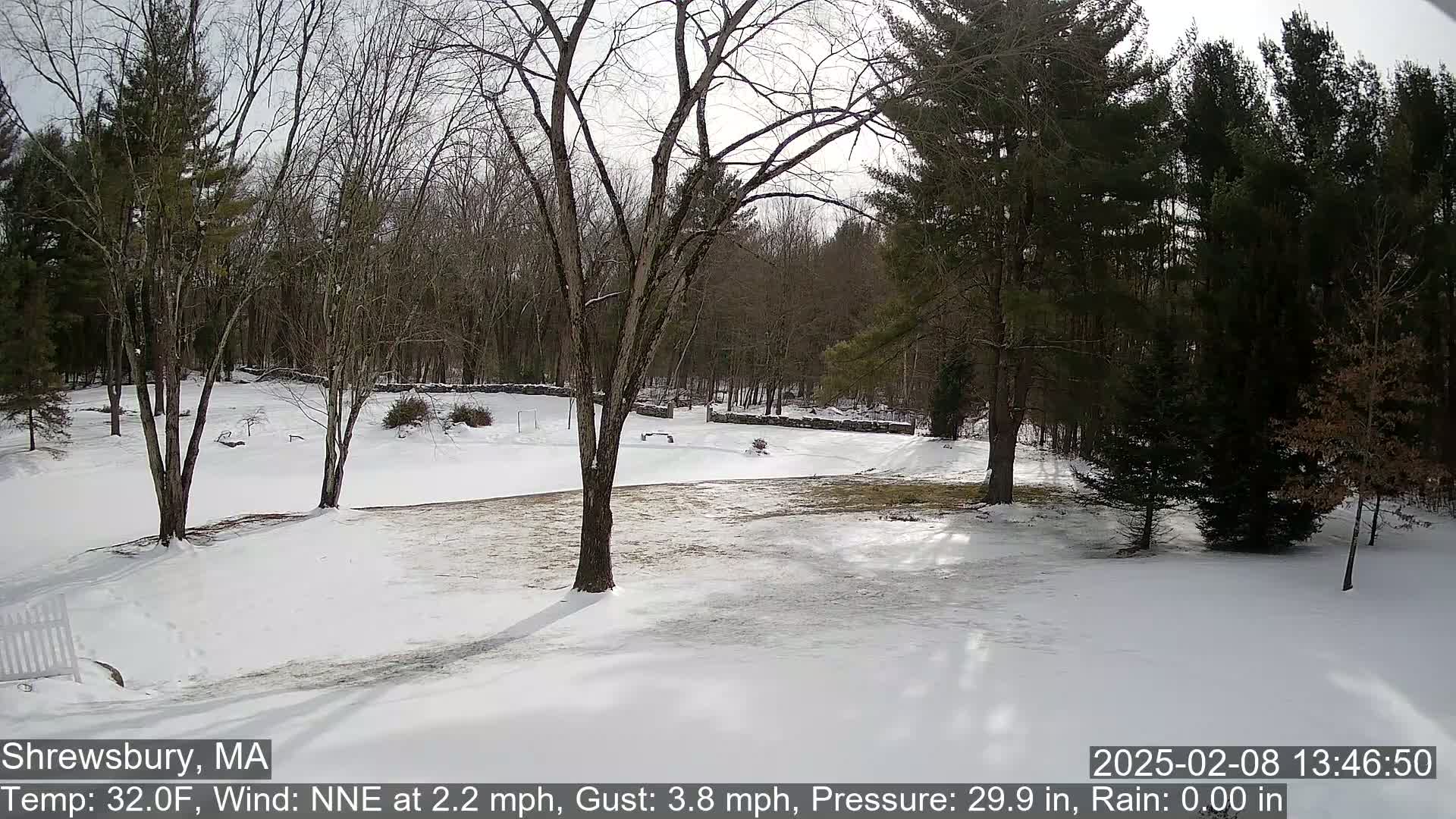 A snow-covered yard with bare deciduous trees and evergreen trees in the background under a partly sunny sky.