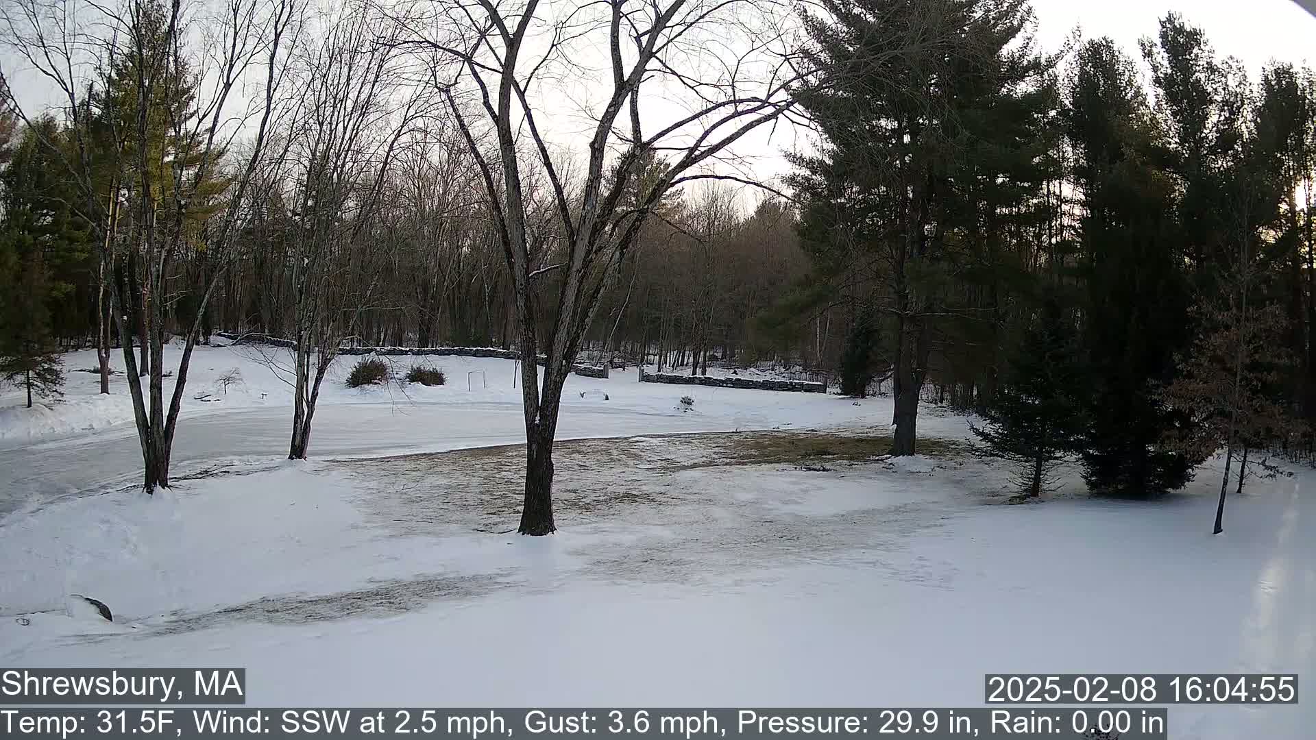 A snow-covered yard with bare trees and evergreens in the background under a partly cloudy sky.