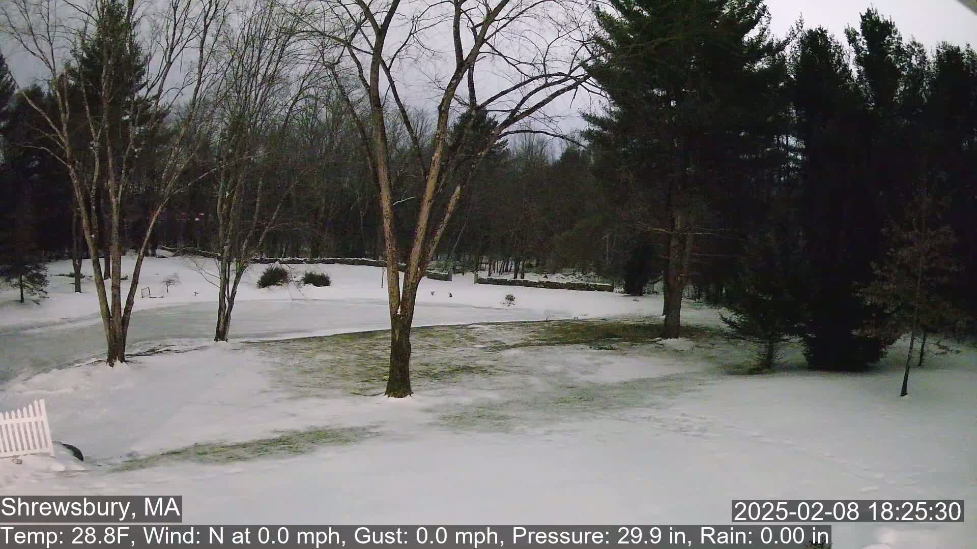 A snow-covered yard with leafless trees and a stone wall in the background under a cloudy sky.