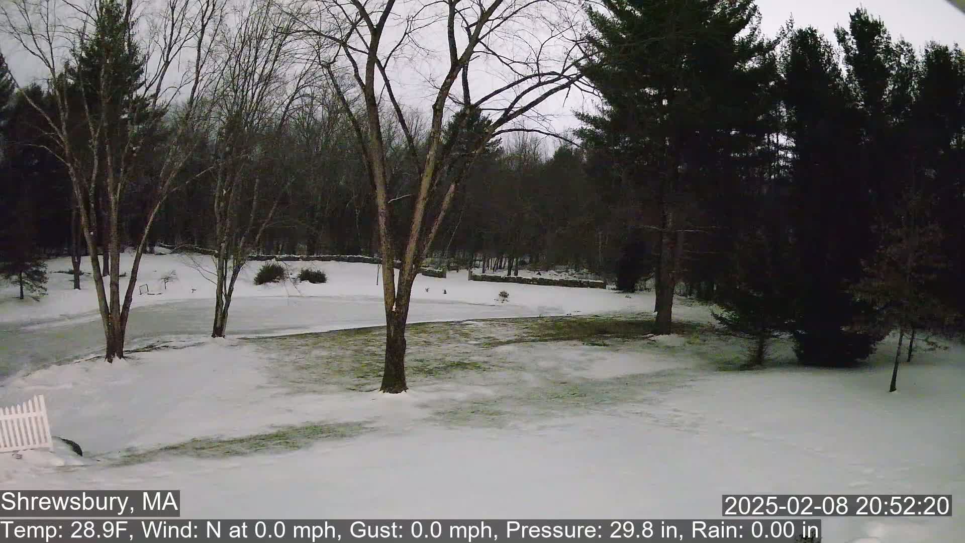 A snow-covered yard with bare trees and a wooded background in the twilight.