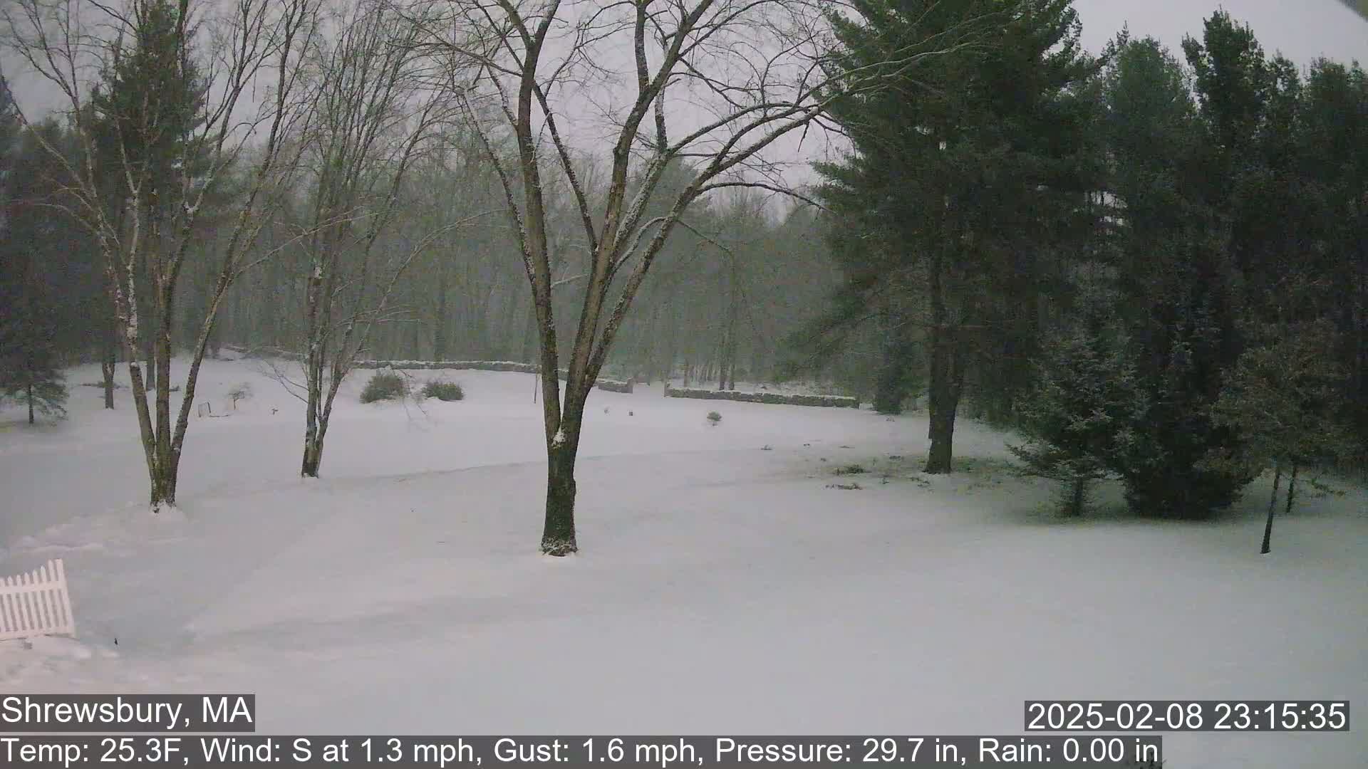 Snow falls lightly on a snow-covered landscape of leafless trees and evergreens.
