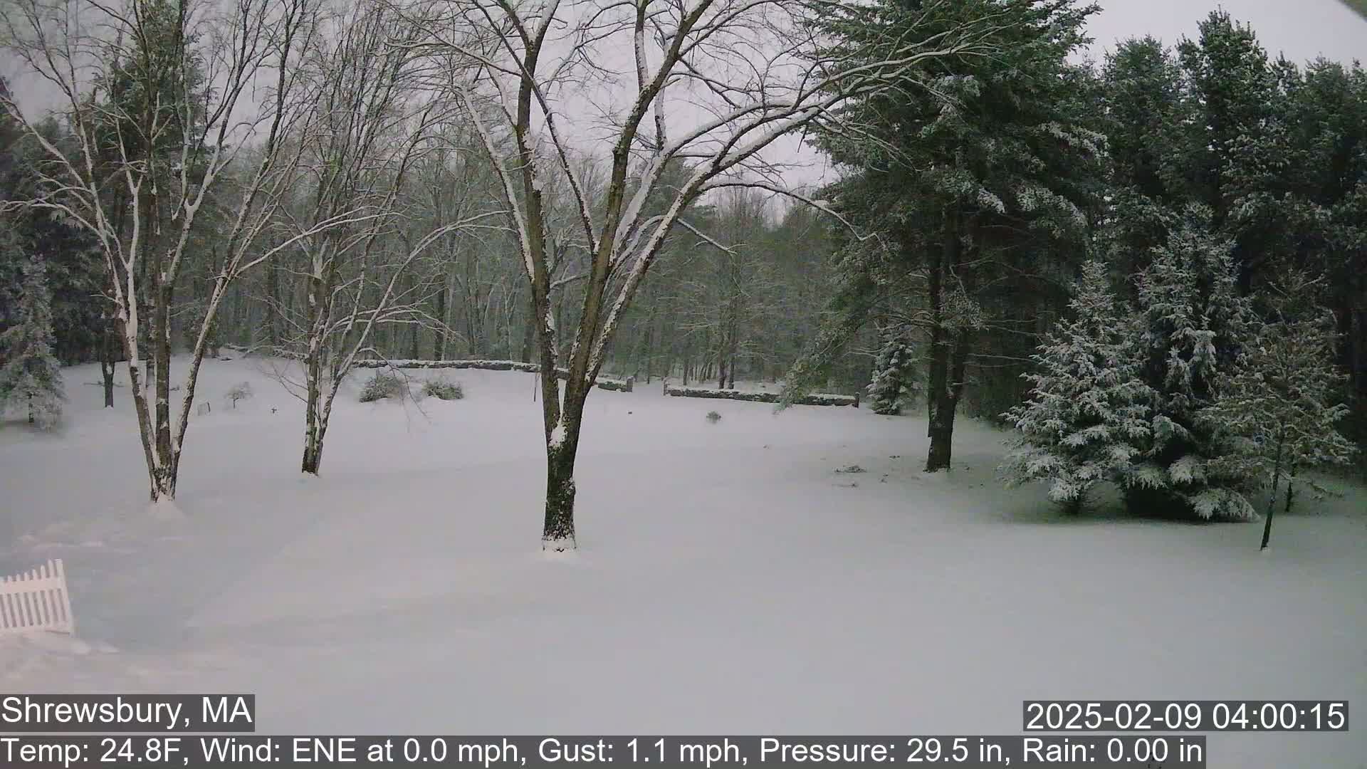 A snow-covered landscape with bare deciduous trees and evergreen trees under a gray sky.